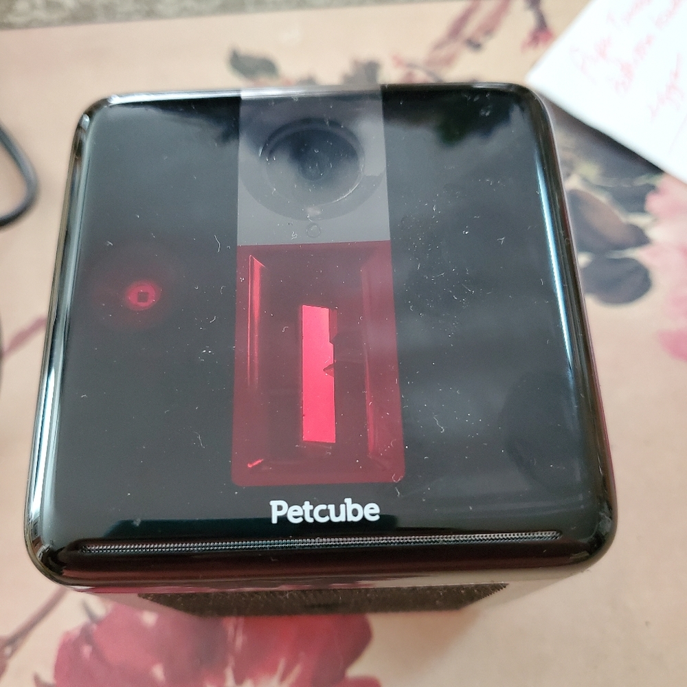 Petcube Cam in Excellent Condition